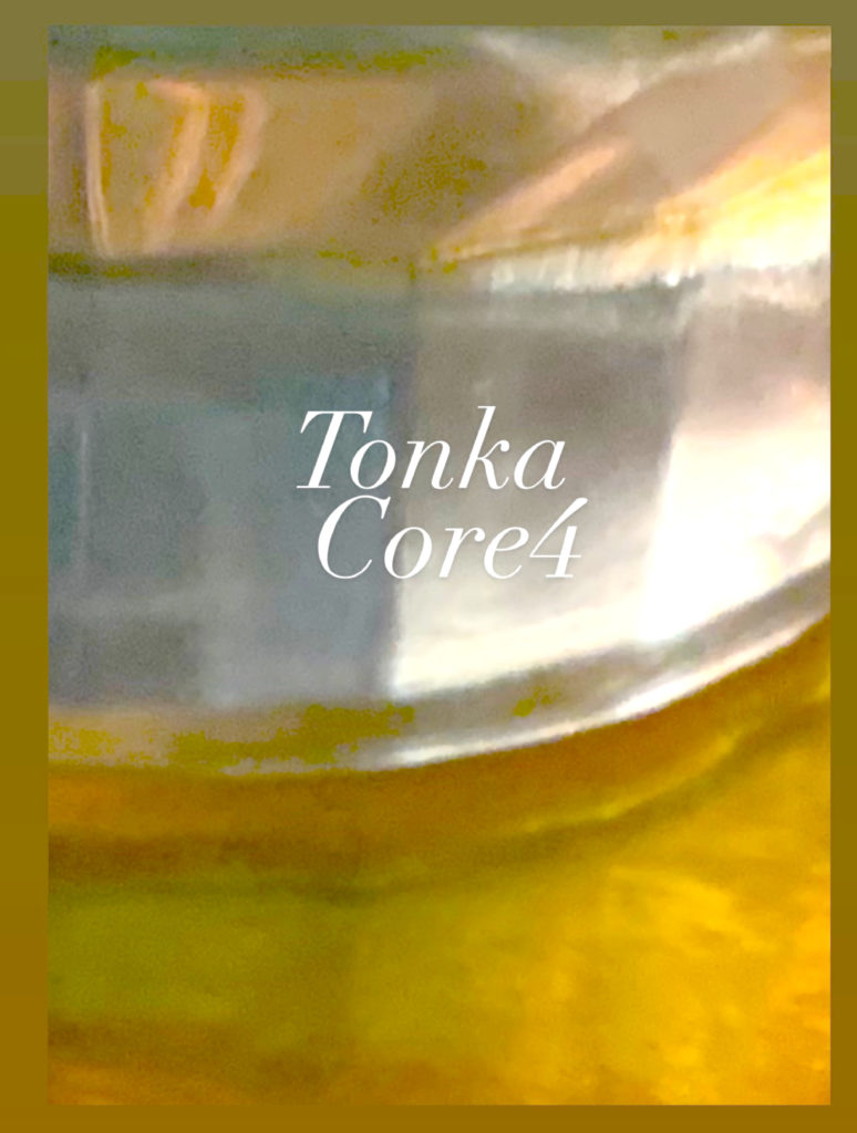 icon of tonkacore4 website